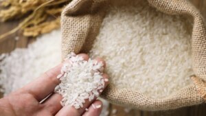 ¿Conoces todas las diferencias entre el arroz bomba y el arroz marisma? Muchas de ellas te van a sorprender