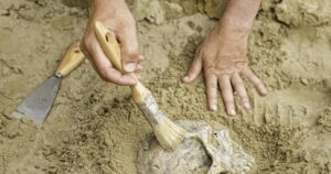 ¿Cuáles son los restos humanos más antiguos encontrados en España?