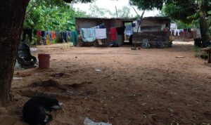 Indígenas de San Isidro dudan del voto tras décadas de pobreza