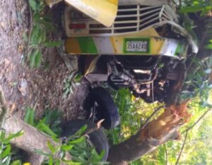 21 lesionados deja accidente en la carretera hacia Ocumare de la Costa #13Ene
