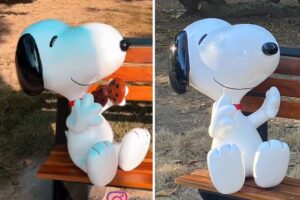 Al Snoopy de una plaza en Cumbres de Curumo le quitaron la galleta que tenía (+Foto +Reacciones +Video)