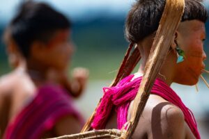 Al menos 85 Yanomami han muerto por malaria en últimos meses