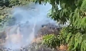 Atención Cali: se presenta un incendio forestal en el cerro La Bandera - Cali - Colombia