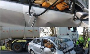 Carro con cargamento de droga se estrelló contra árbol en Santander - Santander - Colombia