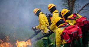 Casi 600 municipios del país están en alerta por los incendios forestales, aseguró la ministra de Ambiente