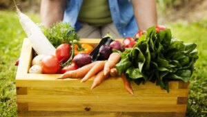 Cinco recetas fáciles con verduras que no son las típicas para empezar 2024 comiendo sano y rico