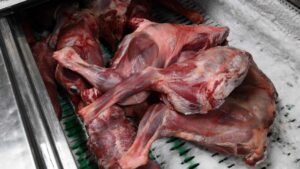 Corea del Sur dejará de comer carne de perro en 2027