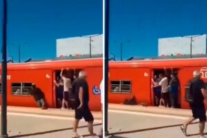 De forma milagrosa un hombre se salvó tras caer en los rieles de un tren (+Video)