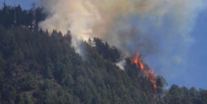 El Gobierno colombiano publica el decreto de «desastre natural» por los incendios - AlbertoNews