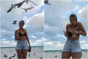 El momento en el que Lele Pons casi quedó con el pecho expuesto en la playa por culpa de un ave (+Video)