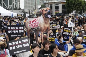 El parlamento de Corea del Sur ilegaliza el consumo de carne de perro