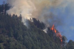 En Colombia decretan desastre natural por incendios forestales que azotan al país