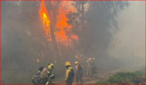 El incendio en el Cerro El Cable aún no está controlado y el alcalde de Bogotá anunció que pedirá ayuda internacional.