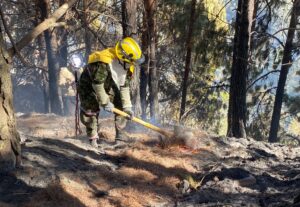 Estados Unidos dice estar listo para ayudar a Colombia a combatir incendios forestales - AlbertoNews