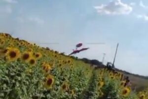 Grababa a una mujer mientras posaba en un campo de girasoles en Portuguesa y captó el momento en el que una aeronave se precipitó a tierra (+Video)