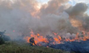 Incendios forestales en el Llano: Unas 7.000 hectáreas de bosques se han consumido - Otras Ciudades - Colombia