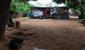Indígenas wayúu pasan hambre y no tienen acceso a servicios básicos en Zulia
