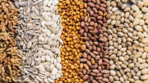 Latinoamérica colaborará en Alianza para valorización de semillas en el Mediterráneo