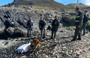 Localizan 34 kilos de droga en archipiélago Los Roques