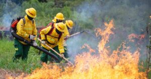Los incendios forestales en Colombia no cesan: en Antioquia se han atendido 114 emergencias