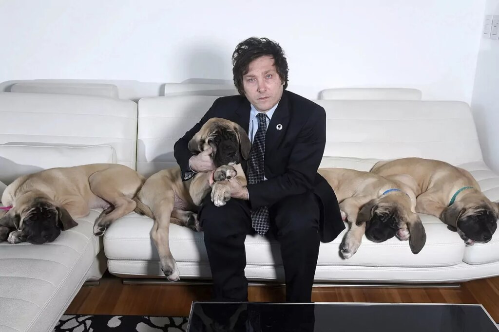 Los perros clonados de Milei crean polmica en su llegada a la residencia presidencial de Olivos