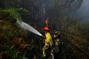 Más de 500 incendios y 60 municipios en crisis hídrica en Colombia