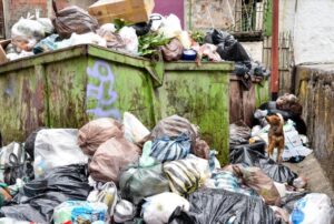 Mérida: Aprueban reforma de ordenanza de recolección de basura