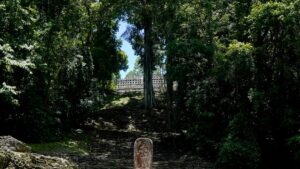 México reconoce que ciertas ruinas mayas son inaccesibles debido a la violencia