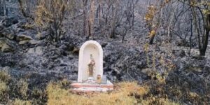 "Milagro" en Colombia: Virgen del Carmen intacta tras incendio forestal - AlbertoNews