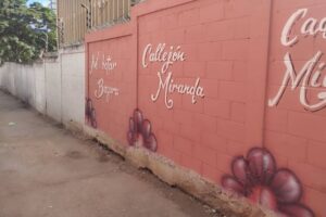 Nombraron “Miranda” la calle de El Valle donde dejaron abandonada a una bebé abandonada en un basurero (+Video y fotos)