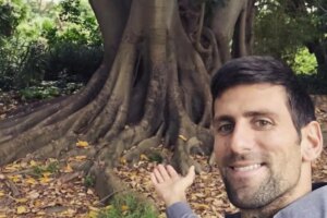 Open de Australia: El rbol que a Djokovic le encanta abrazar en Melbourne: "Tenemos una relacin especial desde hace 15 aos"