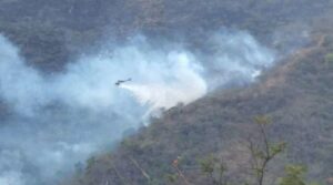 Operación Llovizna sofoca incendios en el Parque Nacional Henri Pittier
