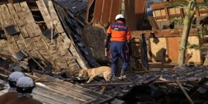 Perro rescatista salva a anciana en Japón a 72 horas después del terremoto (Video)