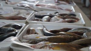 Pescados y carnes sin parásitos para una alimentación más saludable