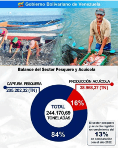 Sector pesquero y acuícola creció un 13% en el 2023, según balance del Gobierno nacional