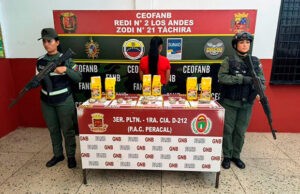Viajaba de Colombia a Maracay con droga oculta en paquetes de harina