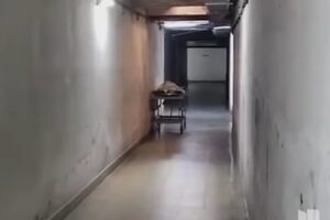 la cama clínica se mueve sola (+Video)