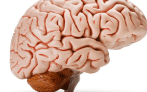 ¿Cómo saber si se tiene bajo el nivel de oxígeno en el cerebro? Estos son los síntomas