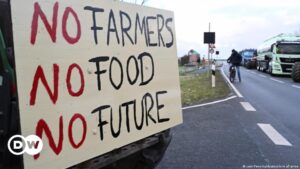 ¿Por qué están tan enfadados los agricultores alemanes? – DW – 10/01/2024