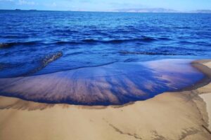 Alcaldía de Lechería recomienda no visitar sus playas por presencia de petróleo