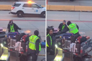 Captan a una empleada del aeropuerto de Miami lanzando agresivamente las maletas de los pasajeros (+Video)