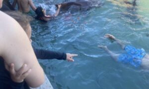 Cartagena: Tiburones y tortugas marina son violentados en acuario Santa Cruz del Islote - Otras Ciudades - Colombia