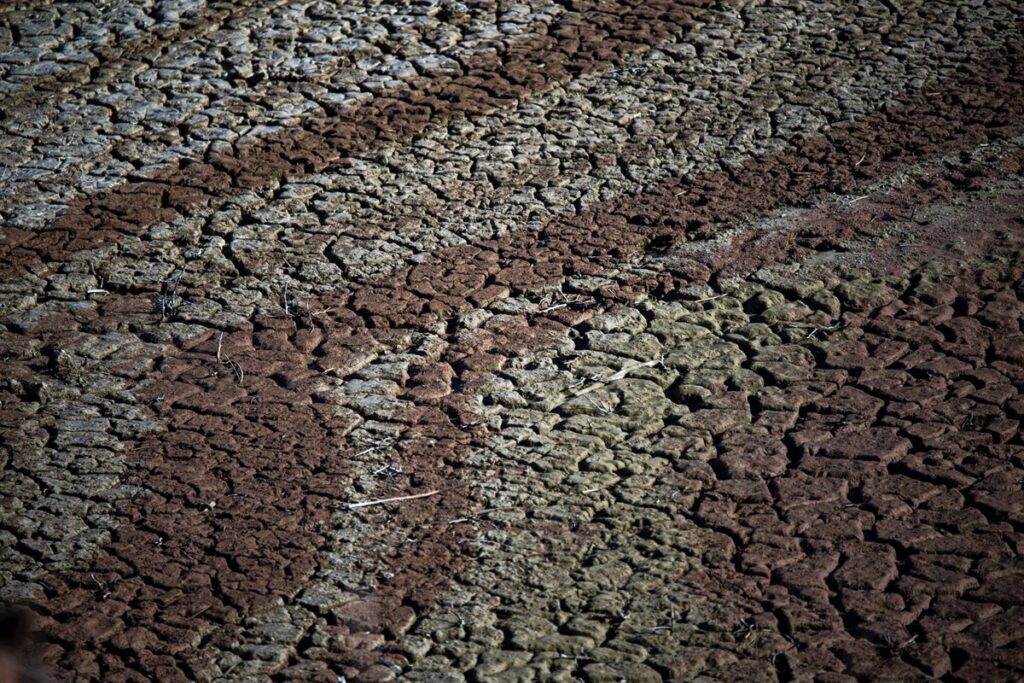 Cataluña declara emergencia por sequía en 239 municipios, también las áreas de Barcelona y Girona
