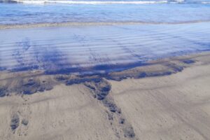 Cierran playas de lechería por 24 horas tras presencia de manchas de petróleo