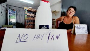 Gobierno cubano admite dificultades en la importación de la harina y el trigo