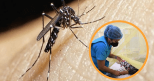 Dengue en Perú: Se registran 948 casos solo en Tumbes