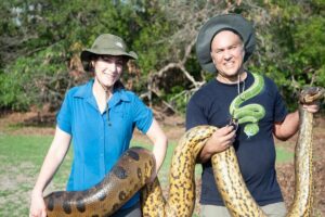 Descubren nueva especie de anaconda gigante: la más grande del mundo con 7,5 metros