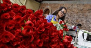 Día de San Valentín: así es la impresionante logística para llevar miles de toneladas de flores colombianas a las tiendas de Estados Unidos y Canadá
