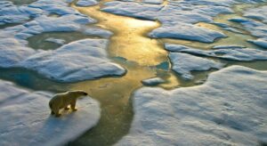 El Ártico y la competencia geopolítica en el 'desierto de hielo'