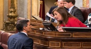 El PSOE pide al Congreso ampliar el plazo para un nuevo dictamen de la Ley de AmnistÃ­a